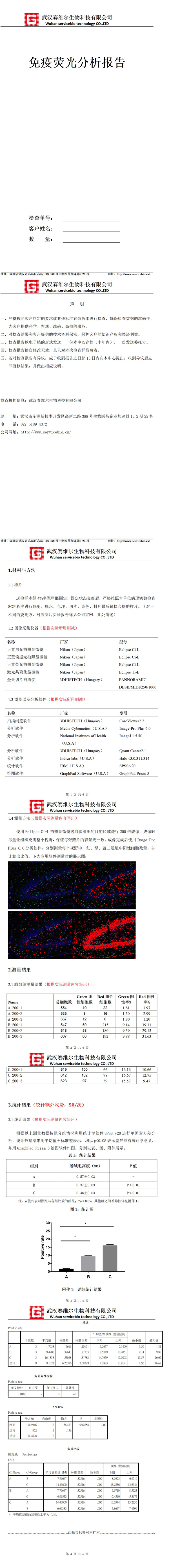 测量报告 600.jpg