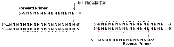 图片 3.jpg