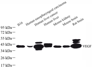 Picture 1.png Picture 1.png