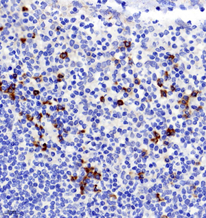 Picture 1.png Picture 1.png