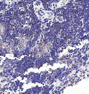 Picture 2.png Picture 2.png