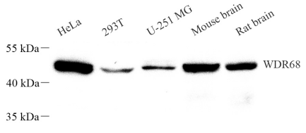 Picture 10(1).png