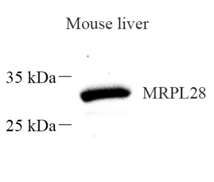 Picture 10(4).png