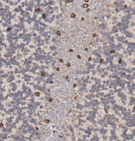 Picture 10(6).png