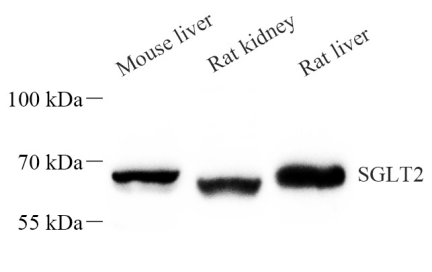 Picture 10(7).png
