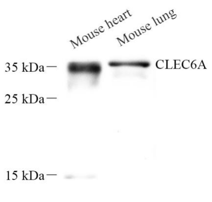 Picture 10(9).png