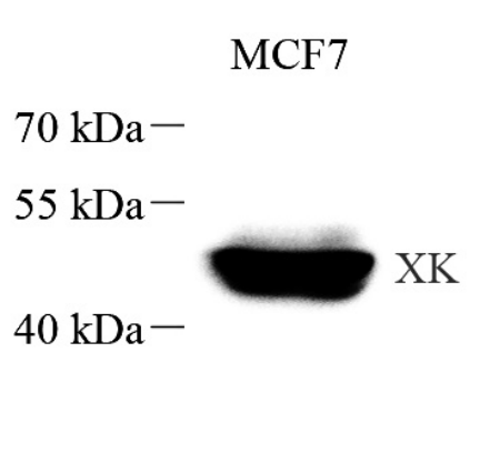 Picture 10(13).png
