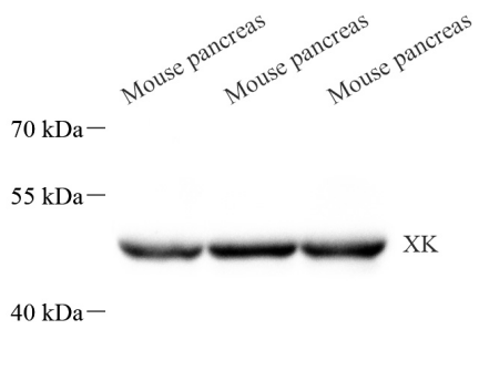 Picture 11(2).png