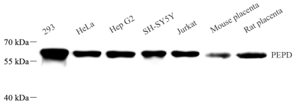Picture 10(15).png