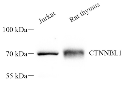 Picture 10(16).png