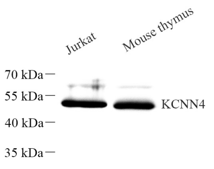 Picture 10(19).png