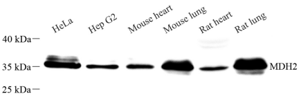 Picture 10(21).png