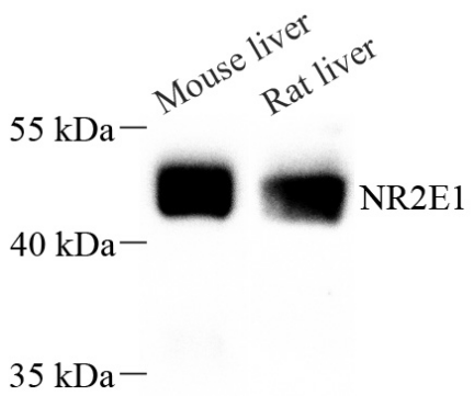 Picture 10(22).png