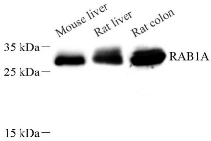 Picture 10(23).png