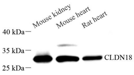 Picture 10(24).png