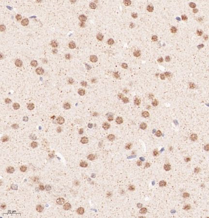 Picture 11(3).png