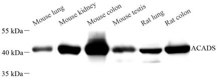 Picture 10(27).png
