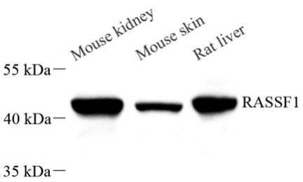 Picture 10(28).png