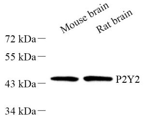 image3 - 副本(41).png