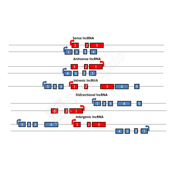 图片 4.png