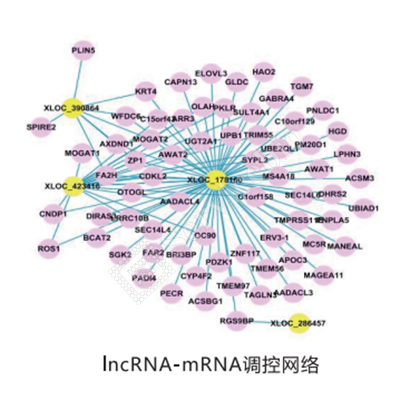 图片 3.png