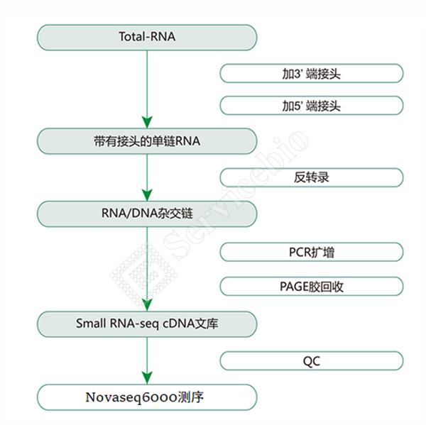 图片 2(1).png