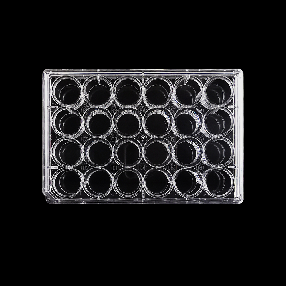 赛维尔生物服务|产品_Servicebio_武汉赛维尔生物科技有限公司