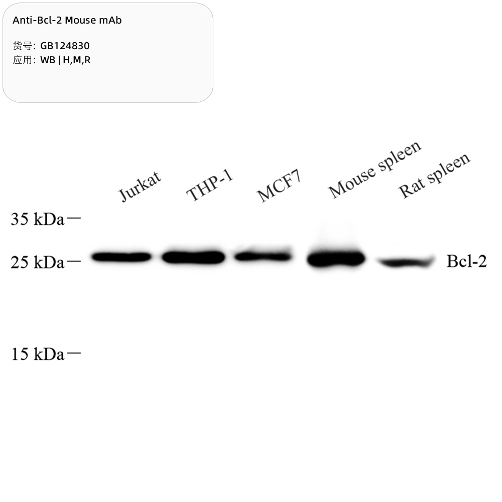  servicebio 