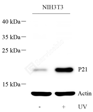 GB115313  - 副本.jpg