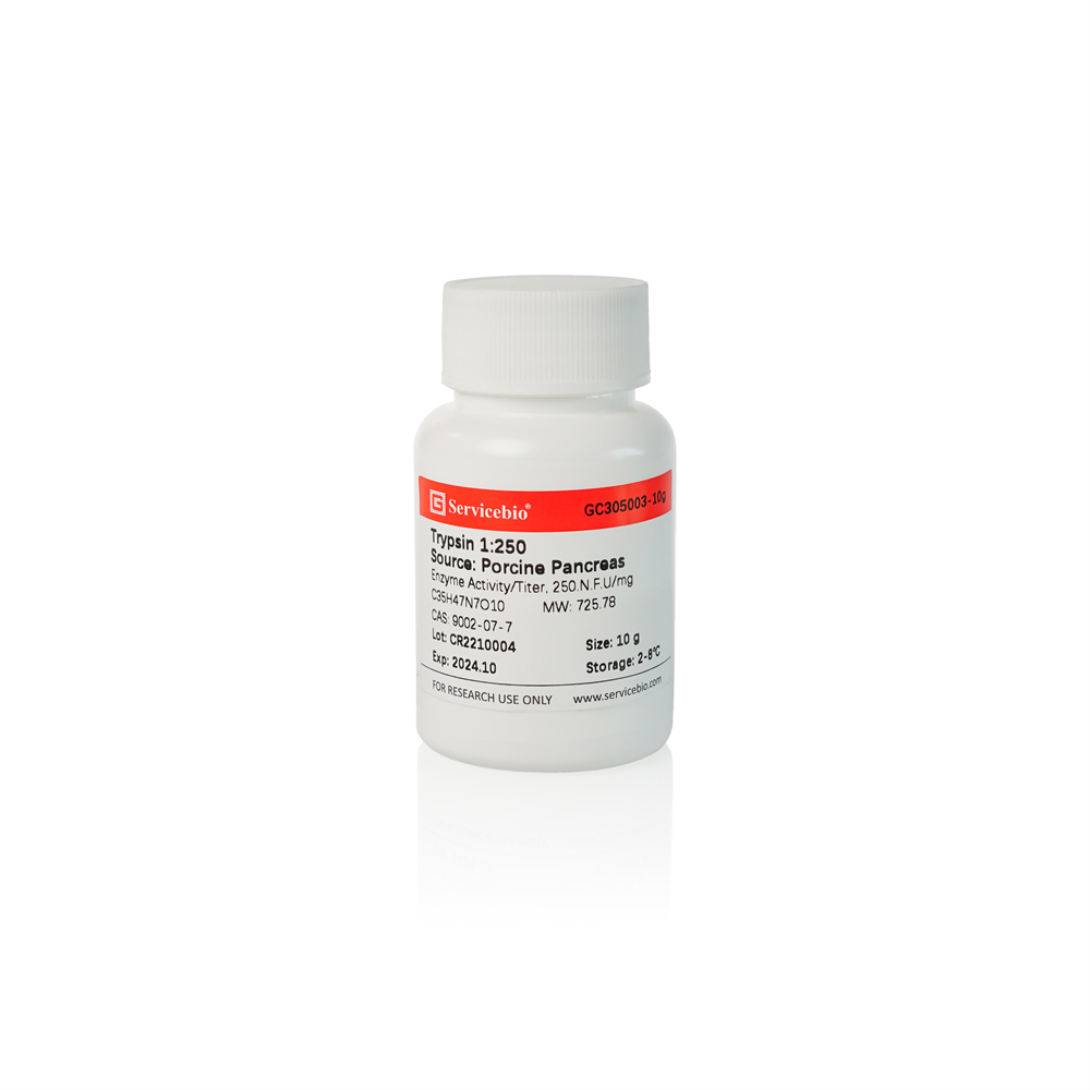 舜帝　8/10 Trypsin 1:250 Source: Porcine Pancreas | Products | Servicebio