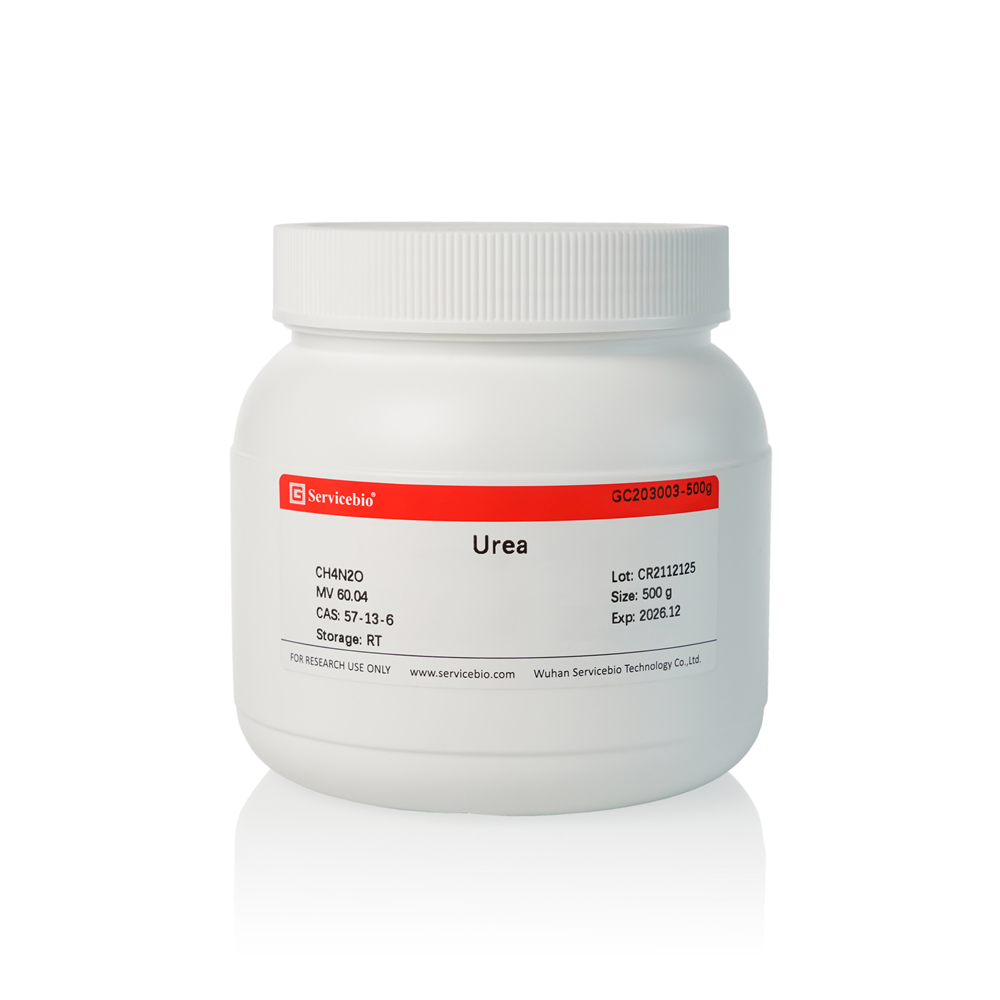 urea Urea | Products | Servicebio