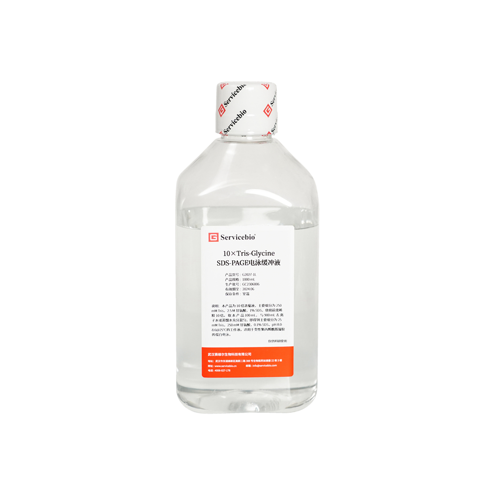 おと様*専用ページ 10×Tris-glycine SDS-PAGE电泳缓冲液-产品- 赛维尔生物服务|产品_