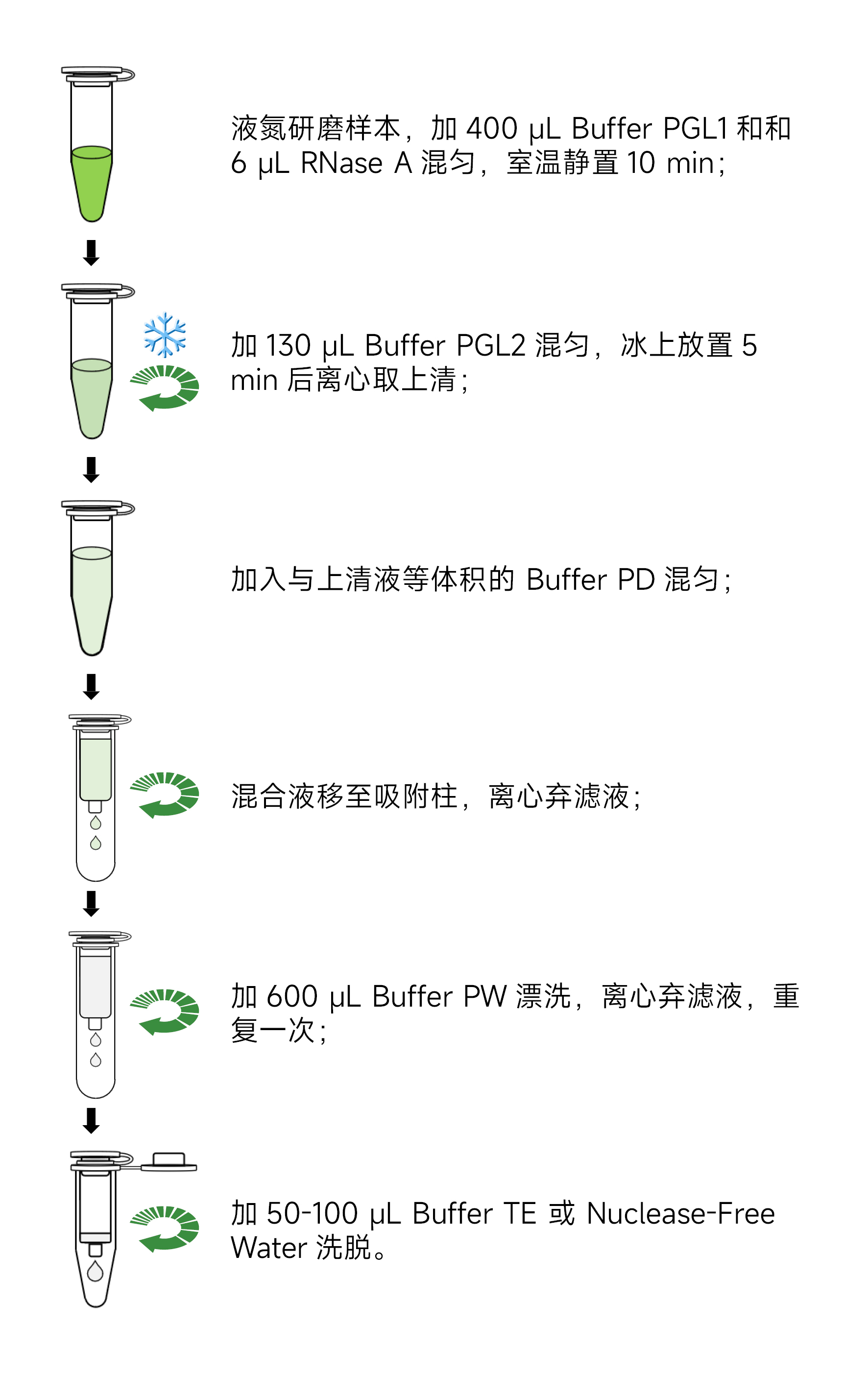 Plant Genomic DNA Extraction Kit | Products | Servicebio