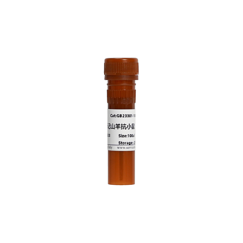 RPMI-1640 Medium, no L-Glutamine, no Calcium | Products | Servicebio