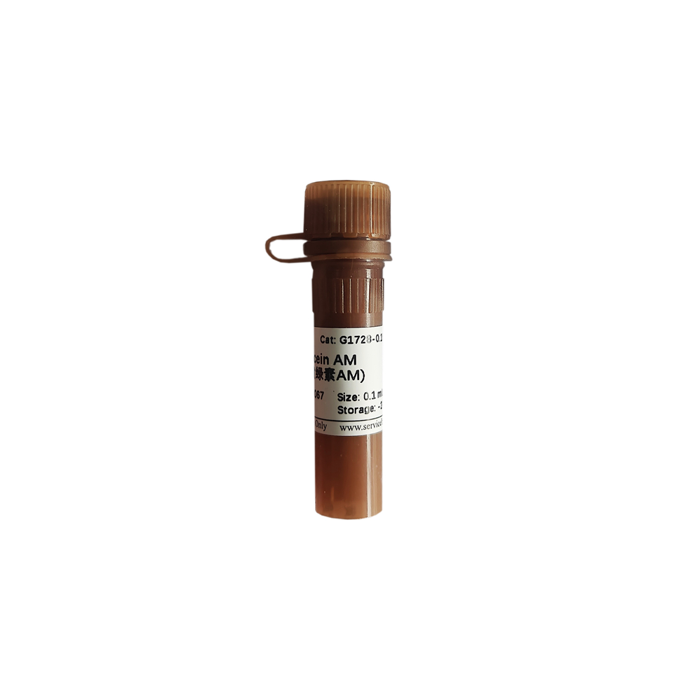 maiページ Calcein AM | Products | Servicebio
