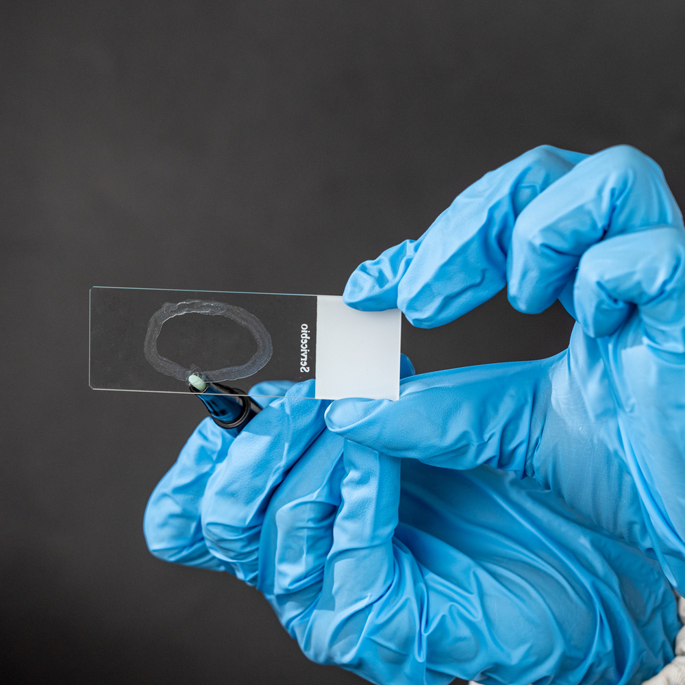赛维尔生物服务|产品_Servicebio_武汉赛维尔生物科技有限公司