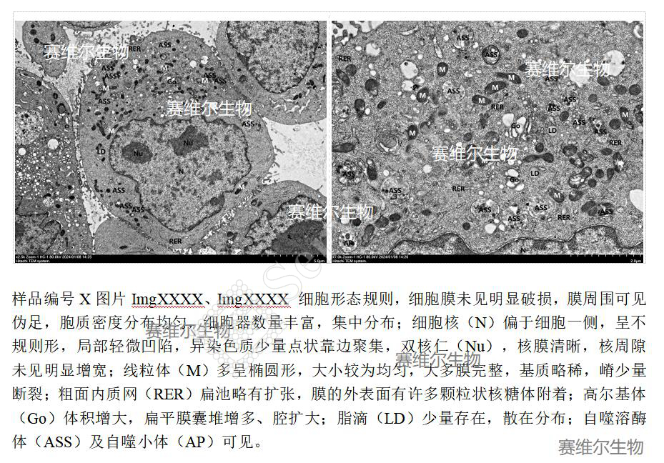 图片13.jpg