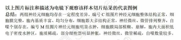 图片15.jpg
