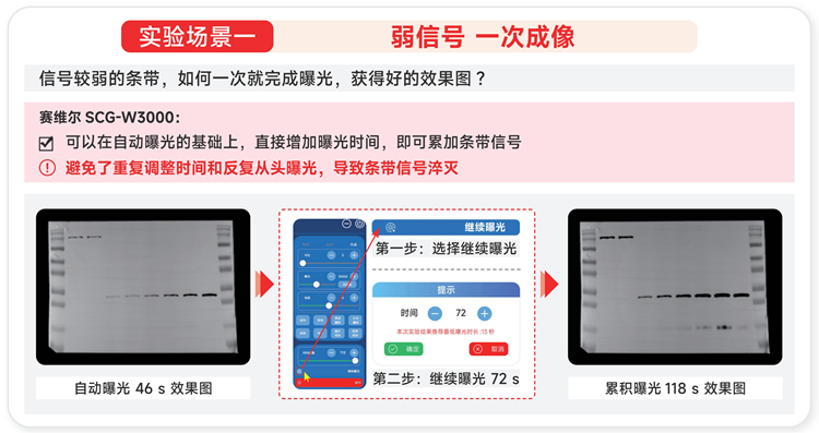 化学发光成像仪