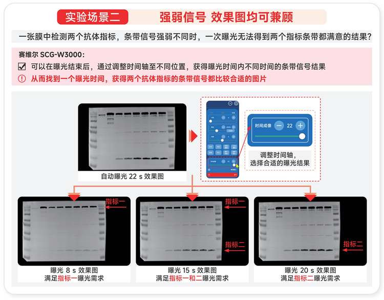 化学发光成像仪