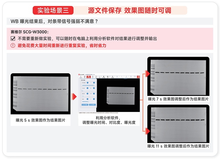 化学发光成像仪