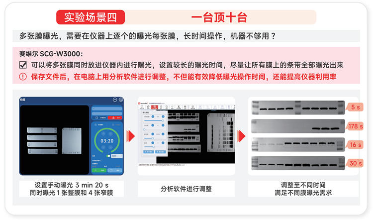化学发光成像仪