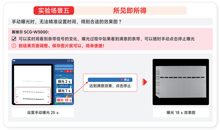 化学发光成像仪