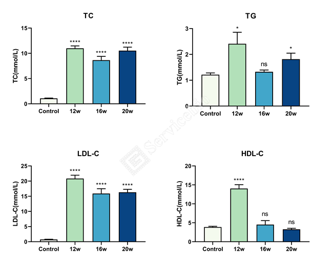 3、血液生化.jpg