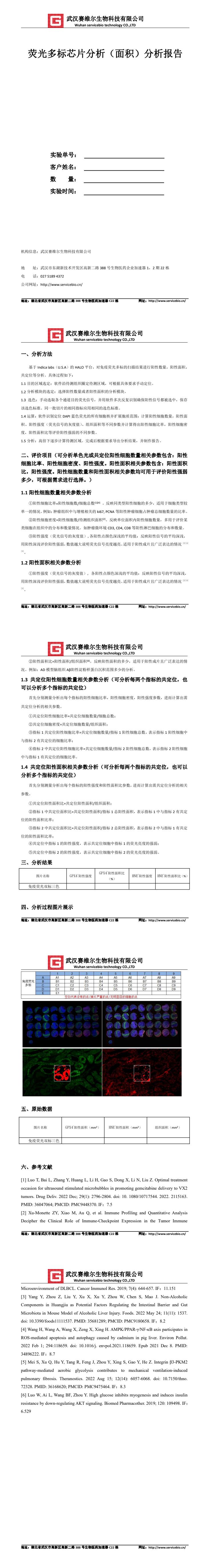 荧光多标芯片分析（面积） YDP2147.jpg