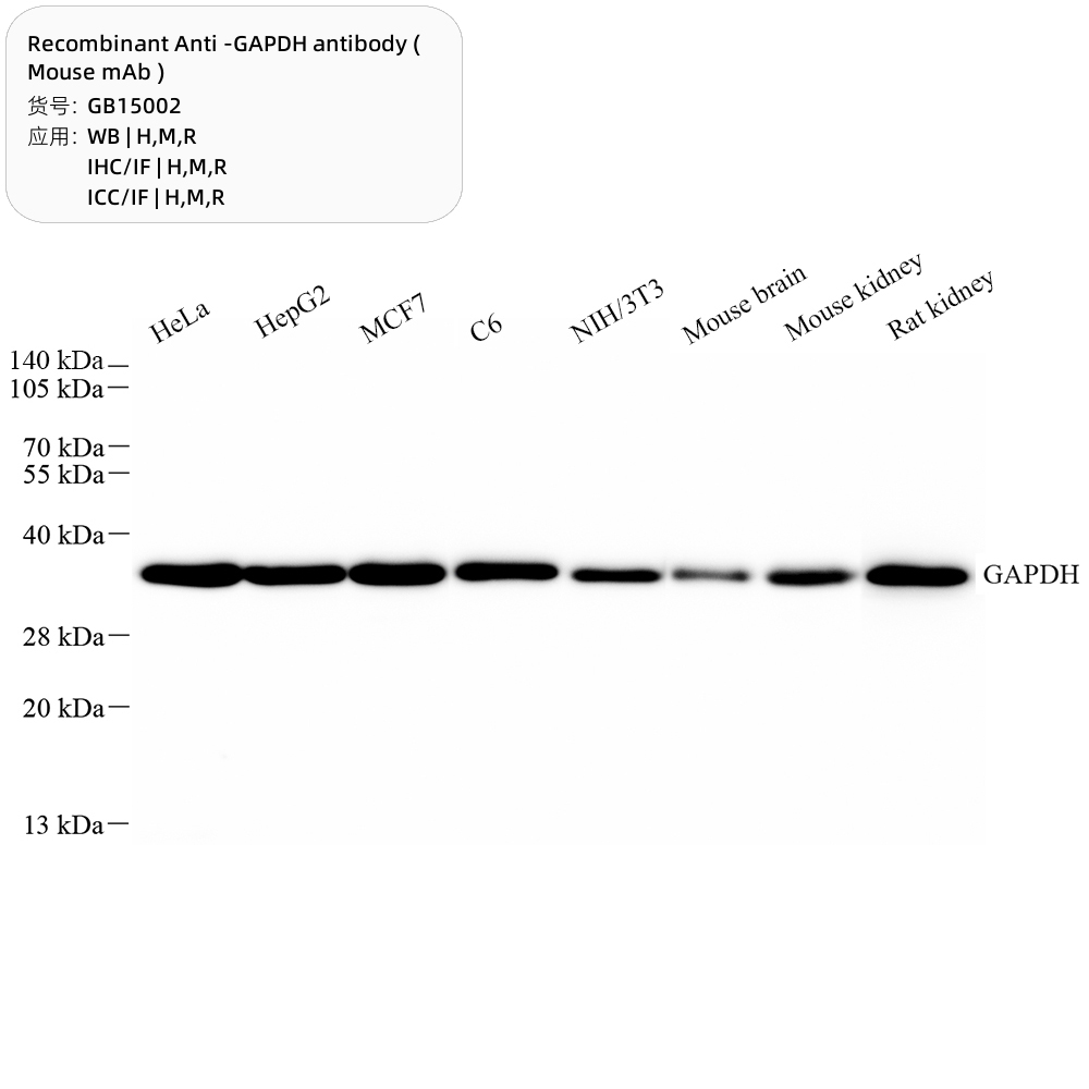 One stop Supplier Of Life Science Products one-stop-supplier-of-life-science-products