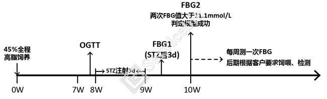 1、大鼠二型糖尿病造模流程图.jpg
