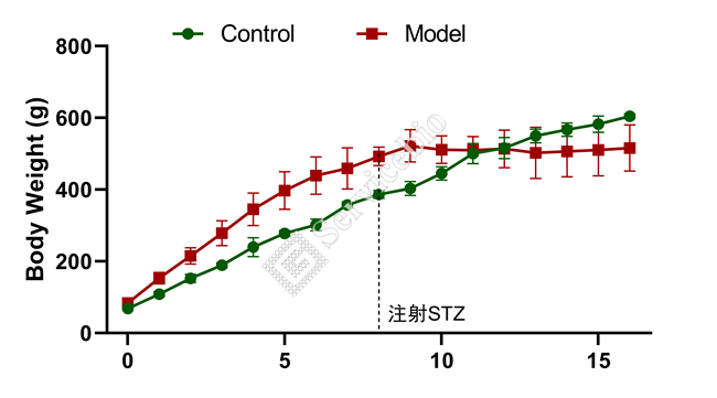 2、体重.jpg