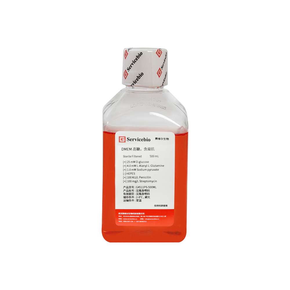 DMEM, High Glucose, Pen-Strep