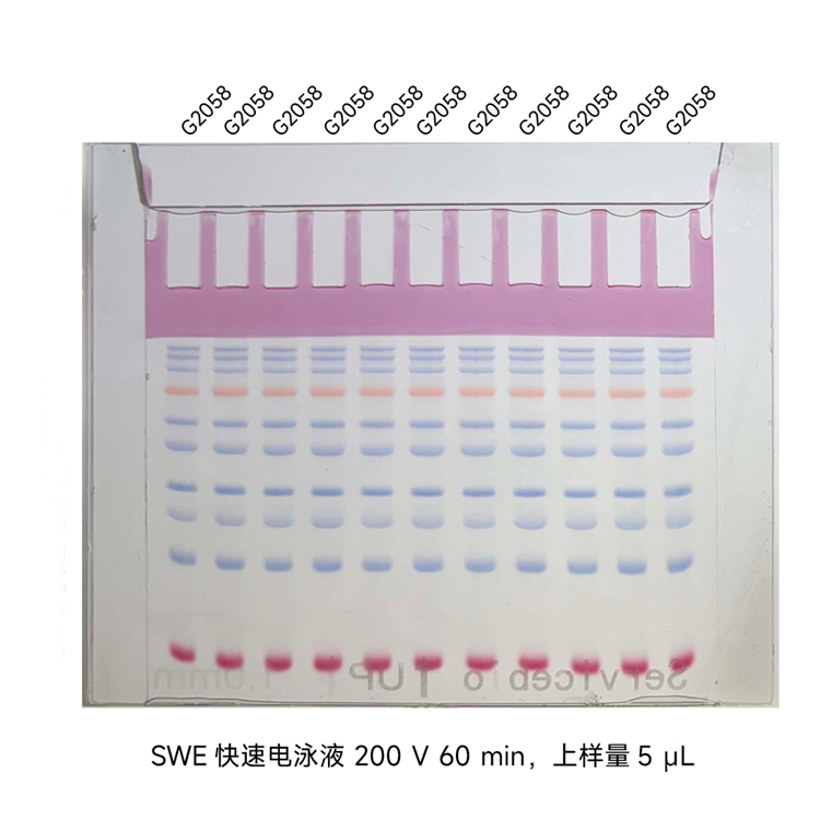 Y2189 效果图6.jpg
